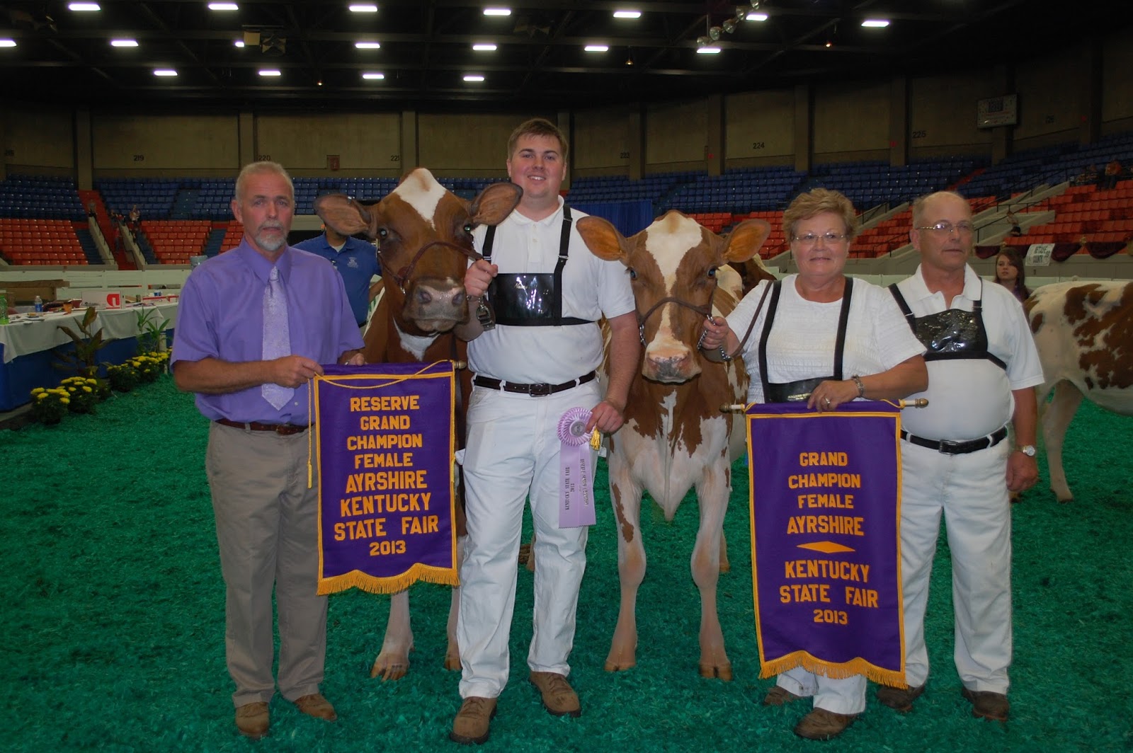 NEWS Kentucky State Fair Ayrshire Show