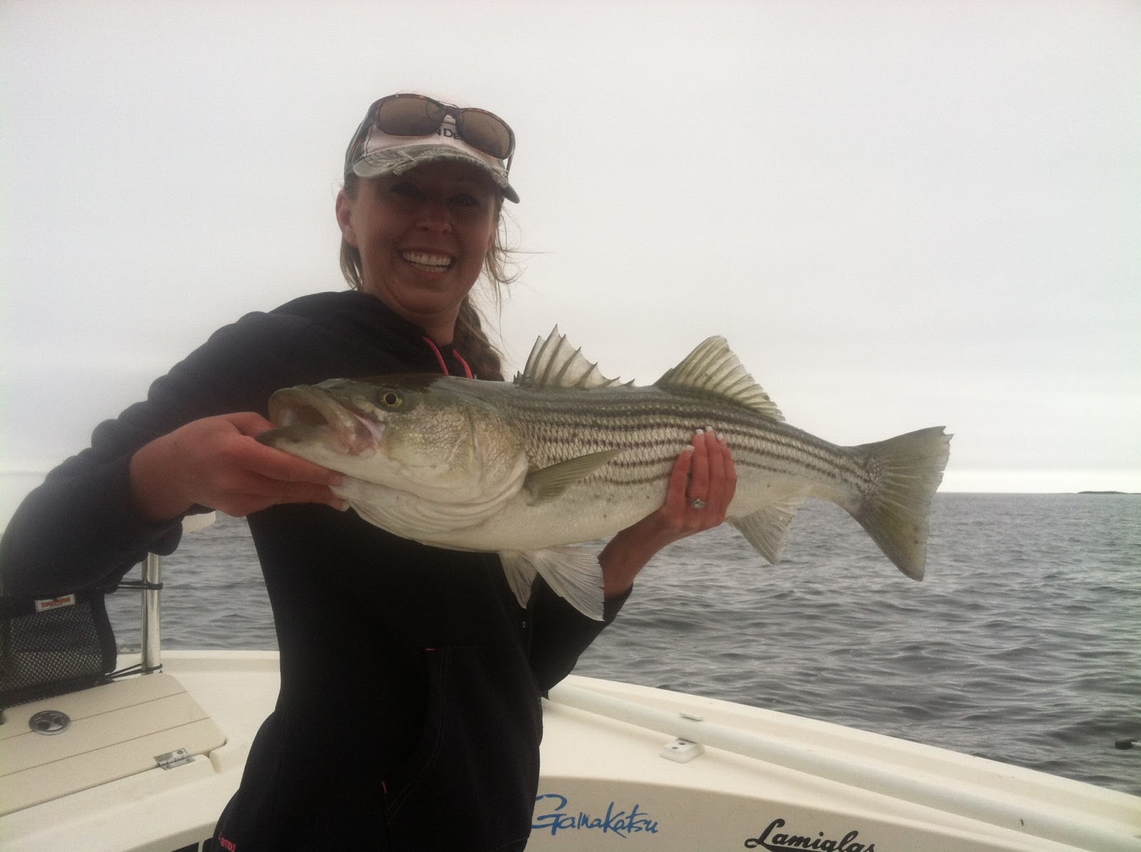 Maine Striper Fishing Charters & Reports Hotline 2076910745 Maine