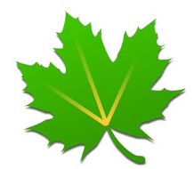 Download Greenify Pro Mod Apk Terbaru Full Gratis Download Greenify Pro Mod Apk Terbaru Full Gratis