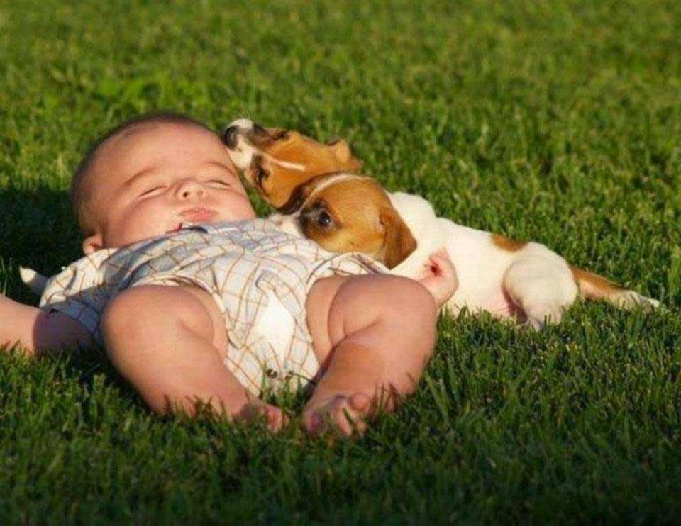 Child Sleeping with Pets Love