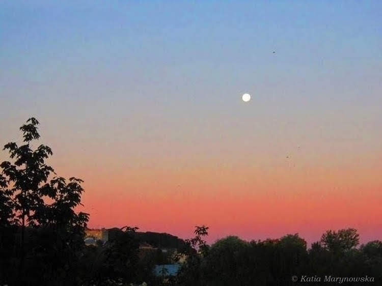 The Morning Moon Rosy morning and lonely moon
