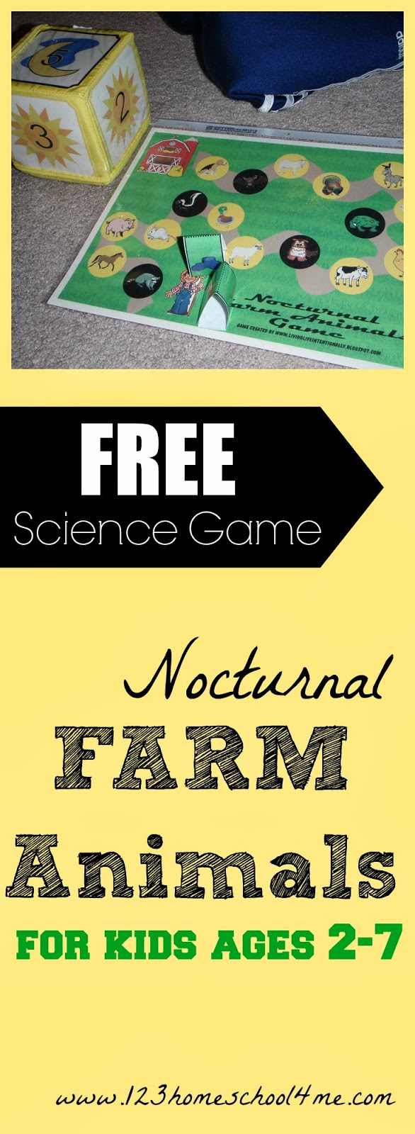 Nocturnal Animals Online Nocturnal Animals Online