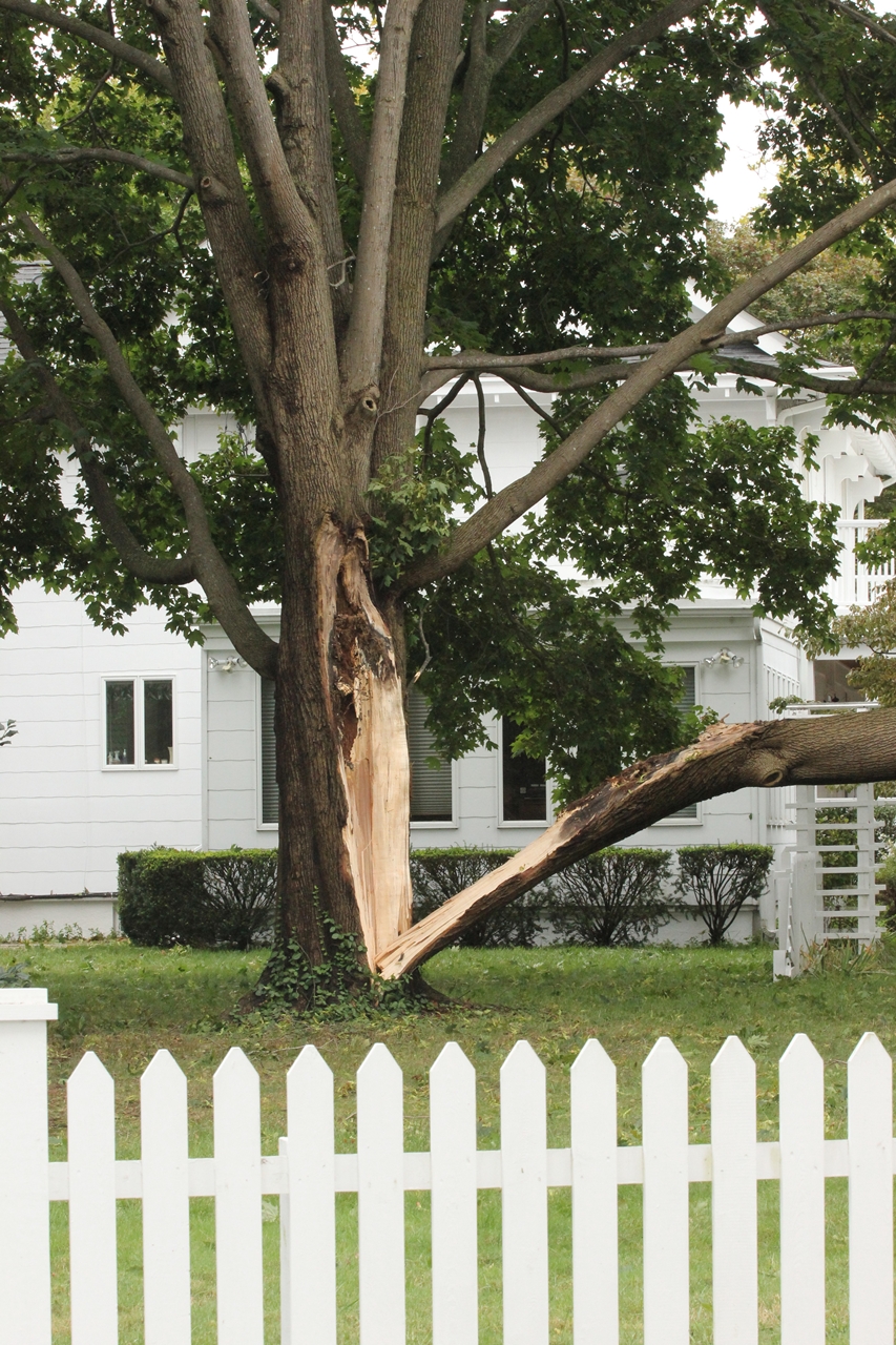 Beach House Living After Hurricane Irene.