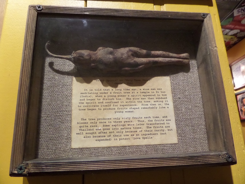 Kentucky Travels Museum of the Weird Austin Texas