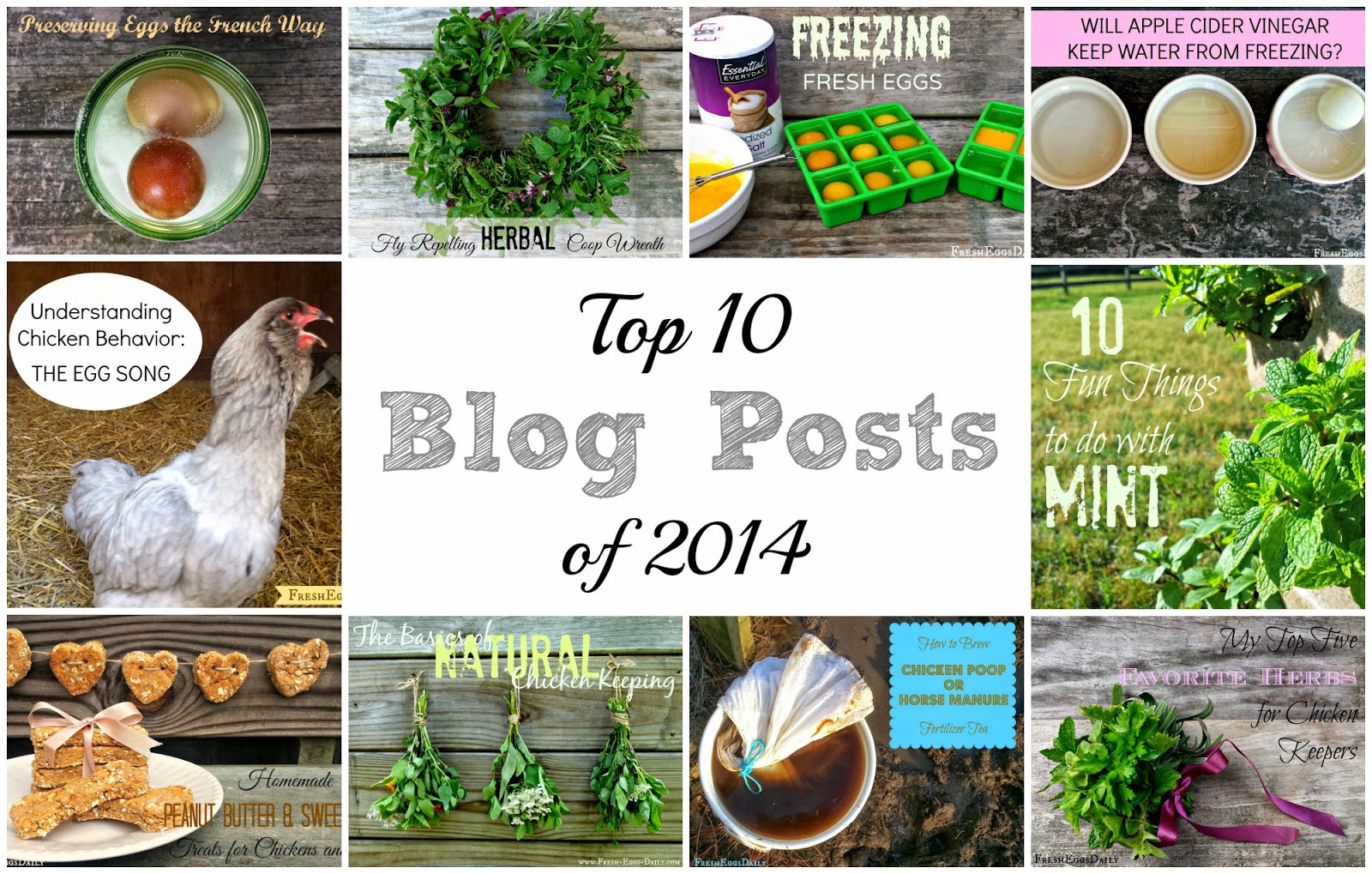 for chick coop: Top Ten Blog Posts of 2014