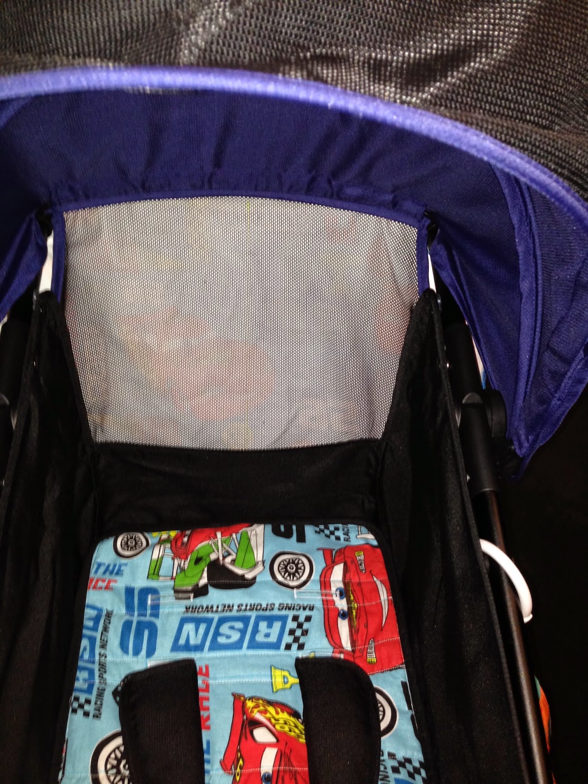 Music, Handcraft and a Mother Mountain Buggy Nano with special cooling