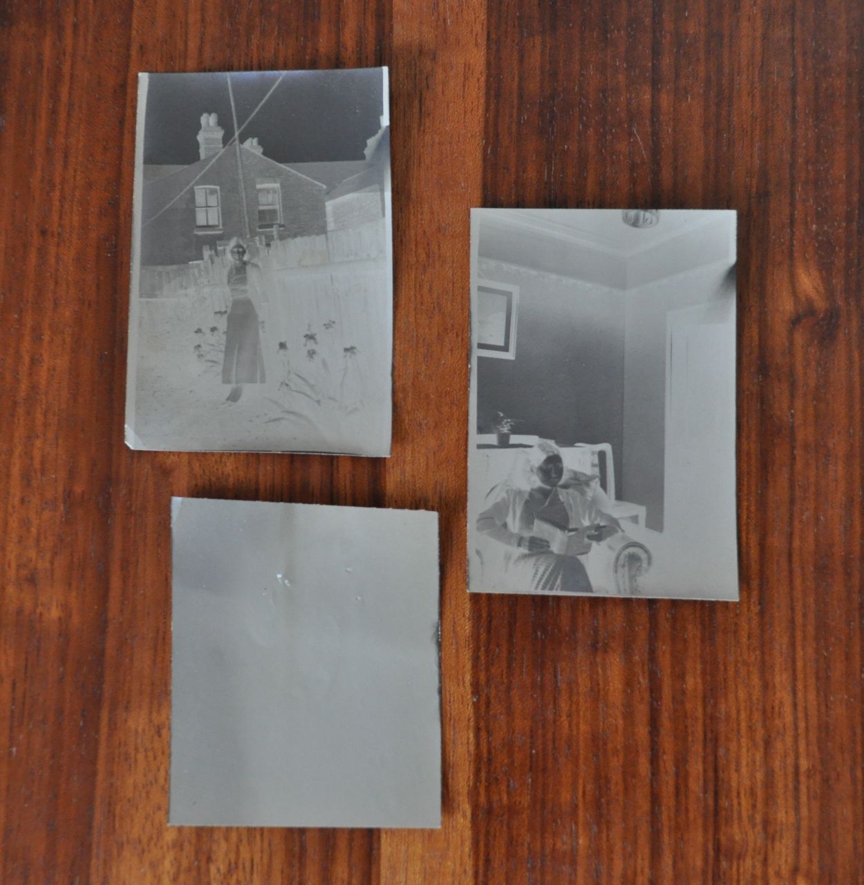 Monthly Bureau Paper Negatives