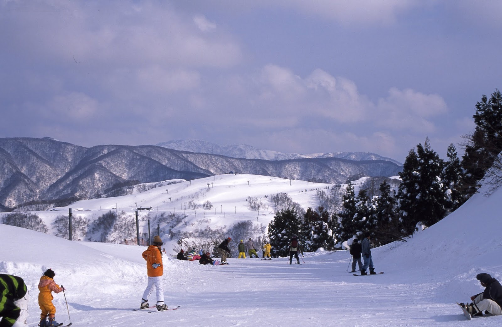 余呉 高原 スキー 場