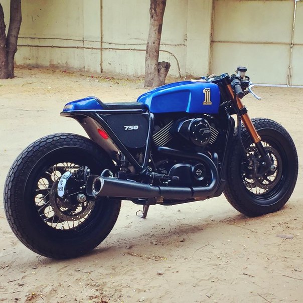 harley street 500 mpg