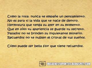 poemas de flores poemas de flores