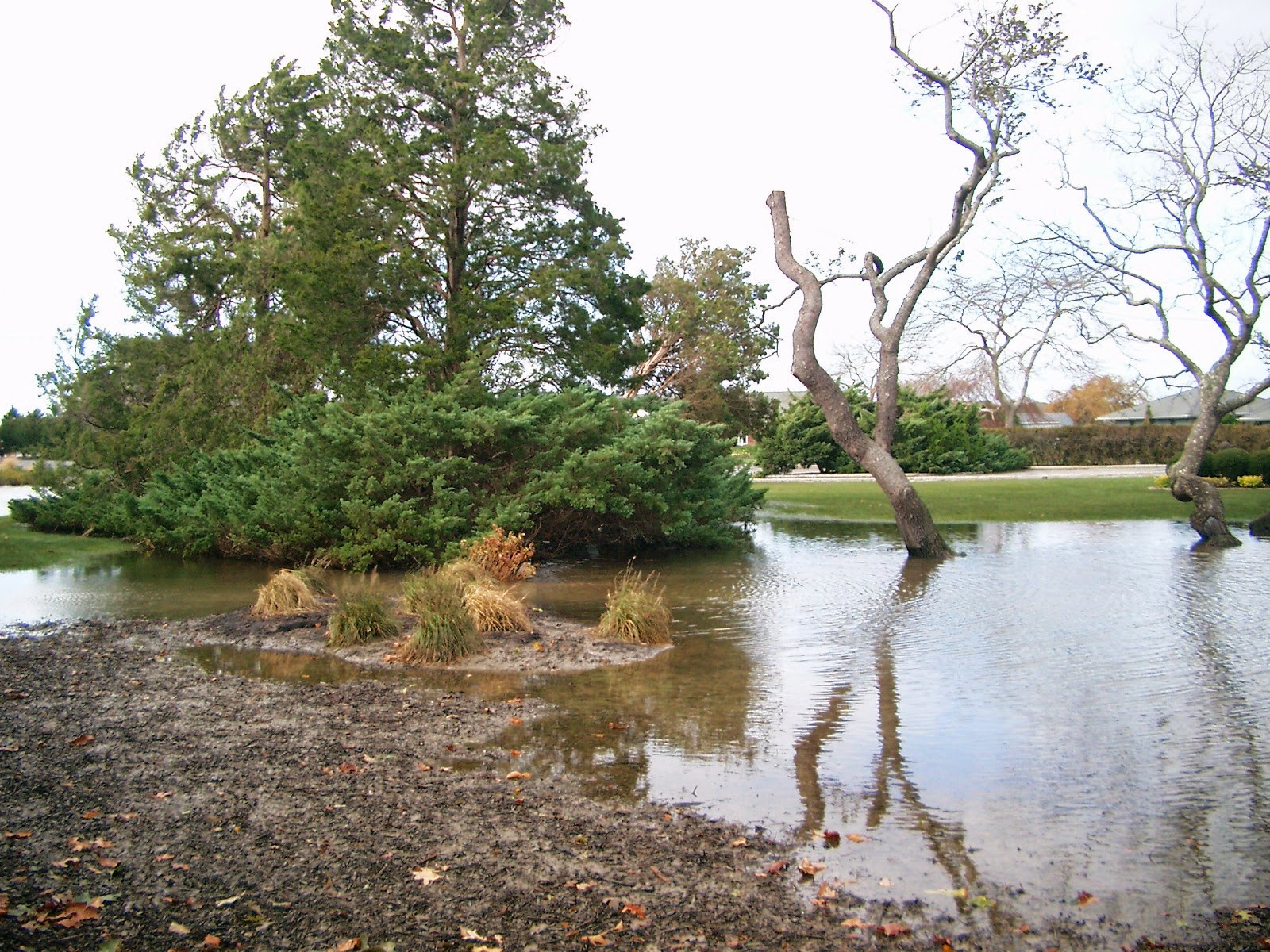 the park after Sandy ©linda nelson 2014