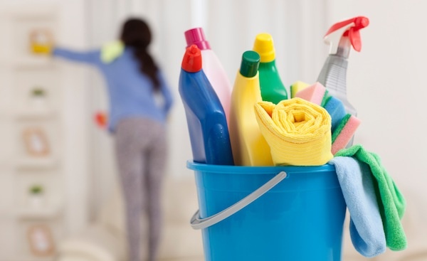 professional house cleaner
