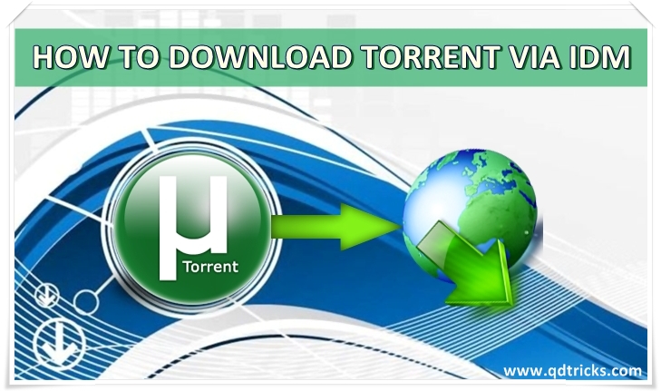 Software to download torrent file using idm