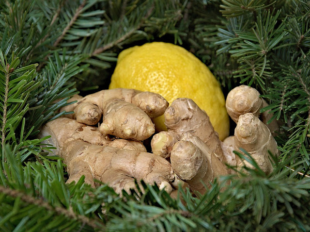 25 Effective Remedies To Use Ginger For Diarrhea Relief Fast Ginger For Diarrhea, Ginger Diarrhea, Ginger And Diarrhea, Is Ginger Good For Diarrhea, How To Use Ginger For Diarrhea, How To Get Rid Of Diarrhea, Diarrhea Treatment, Home Remedies For Diarrhea, Diarrhea Remedies, How To Cure Diarrhea, How To Treat Diarrhea, Diarrhea Home Remedies, Treatment For Diarrhea, Remedies For Diarrhea, Diarrhea, How To Cure Diarrhea Fast, How To Treat Diarrhea Fast