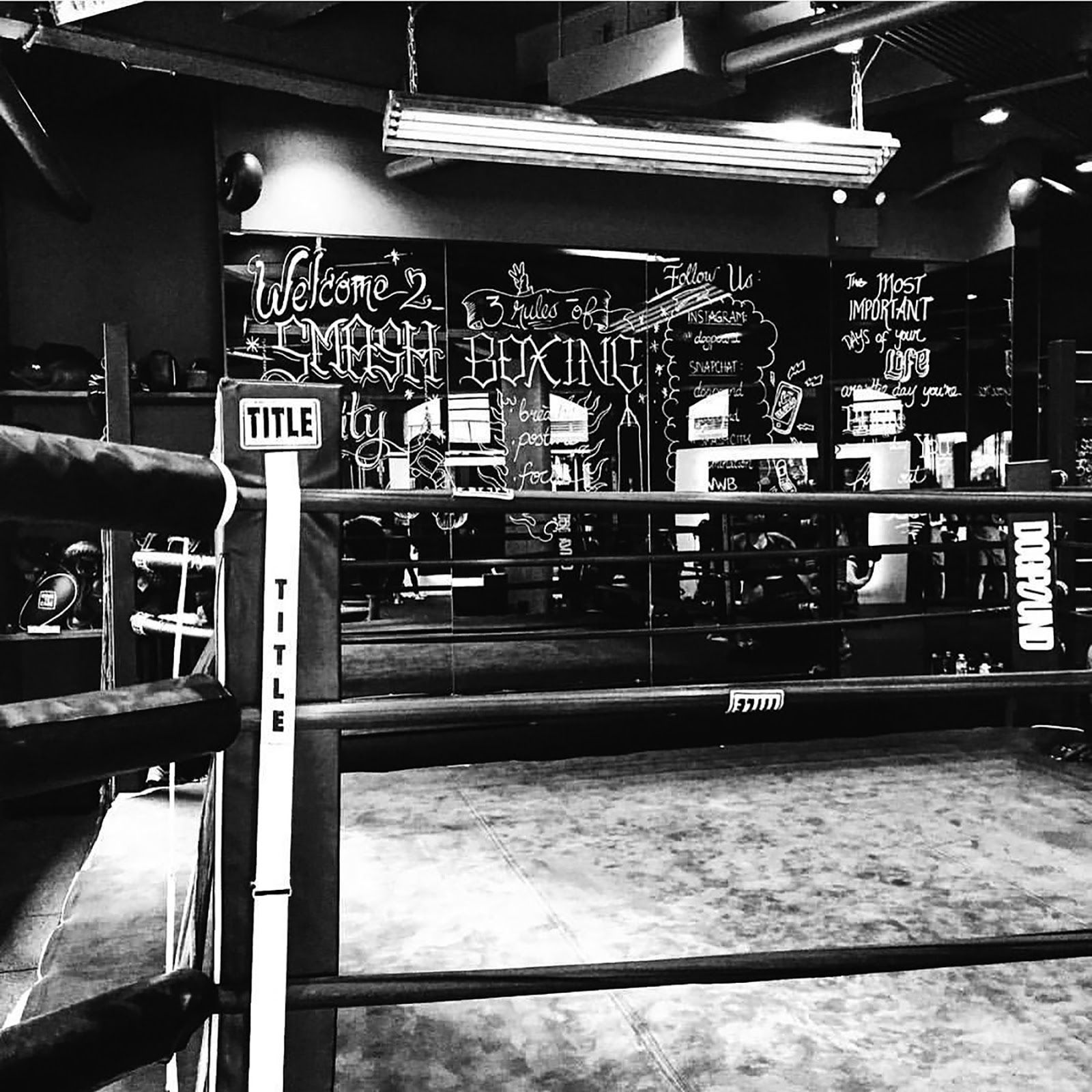 ANDREW REYNIAK ARCHITECT, P.C. DOGPOUND FITNESS NYC