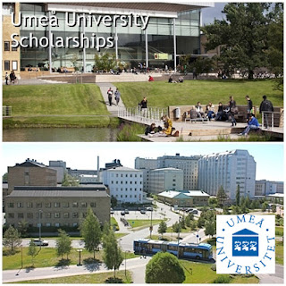 beasiswa-s2-swedia-umea-university copy beasiswa-s2-swedia-umea-university copy