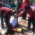 Qurban 1 sapi dan 2 kambing