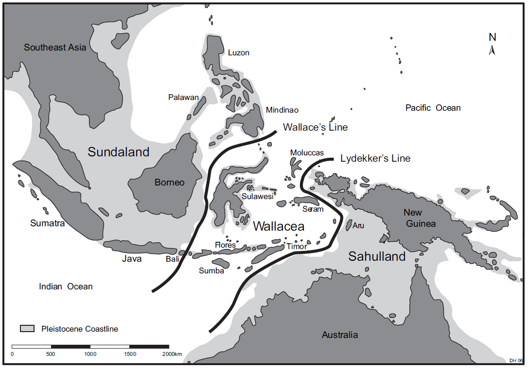 Sejarah Geologi Persebaran Fauna Di Indonesia Gurugeografi Id