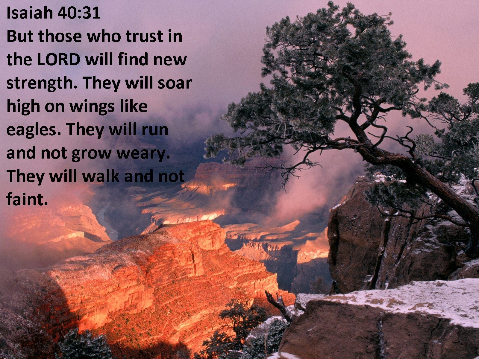 Funny Pictures Gallery: Uplifting christian quotes, encouraging