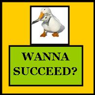 Success 4 YOU 786 small logo