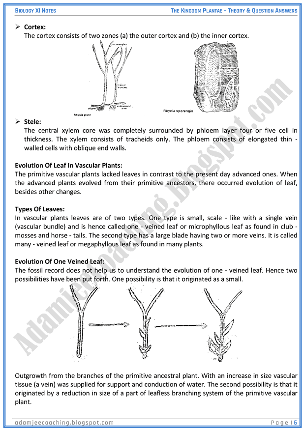 kingdom-plantae-descriptive-question-answers-biology-11th