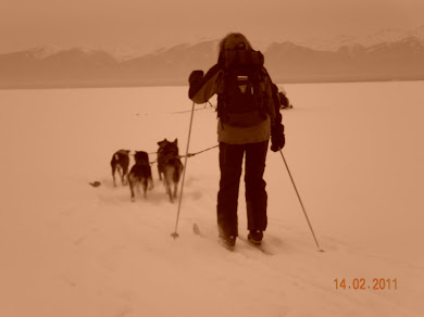 путешествие на лыжах с собаками