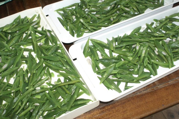 A Green and Rosie Life The best way to freeze beans