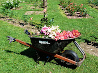 wheelbarrow full of roses wheelbarrow full of roses