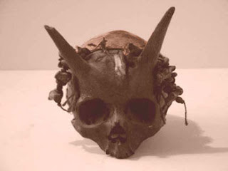 Le crâne à cornes découvert en France