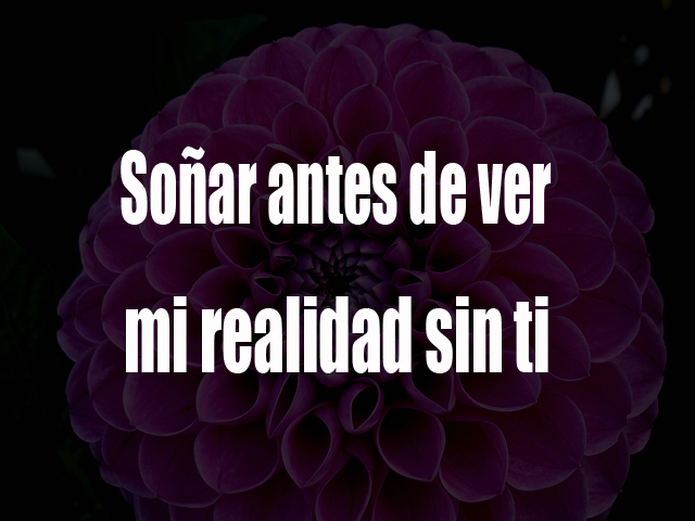 Soñar antes de ver mi realidad sin ti Soñar antes de ver mi realidad sin ti