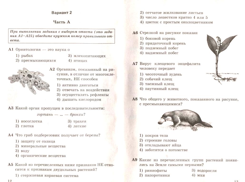 Тест простейшие 7 класс ответы. Контрольная работа по теме млекопитающие 7 класс биология с ответами. Тест по теме млекопитающие. Класс млекопитающие тест. Тест млекопитающие 7 класс.