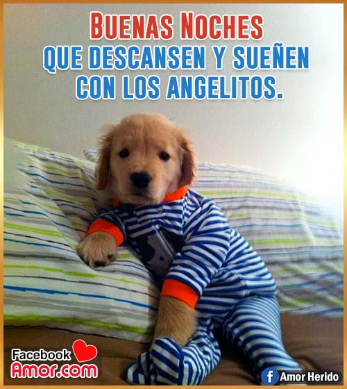 imágenes divertidas de buenas noches imágenes divertidas de buenas noches