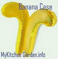 Banan tilfelle for å holde banan