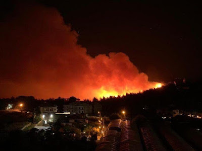 لبنان يحترق, الازمة خارج السيطرة, جامعة رفيق الحريرى, حرائق تثير الرعب, مدينة المشرف, لحظات مؤلمة, 