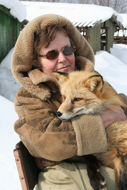 An interview with Dr. Lee Dugatkin about How to Tame a Fox Lyudmila Trut with one of her beloved tame foxes in Siberia