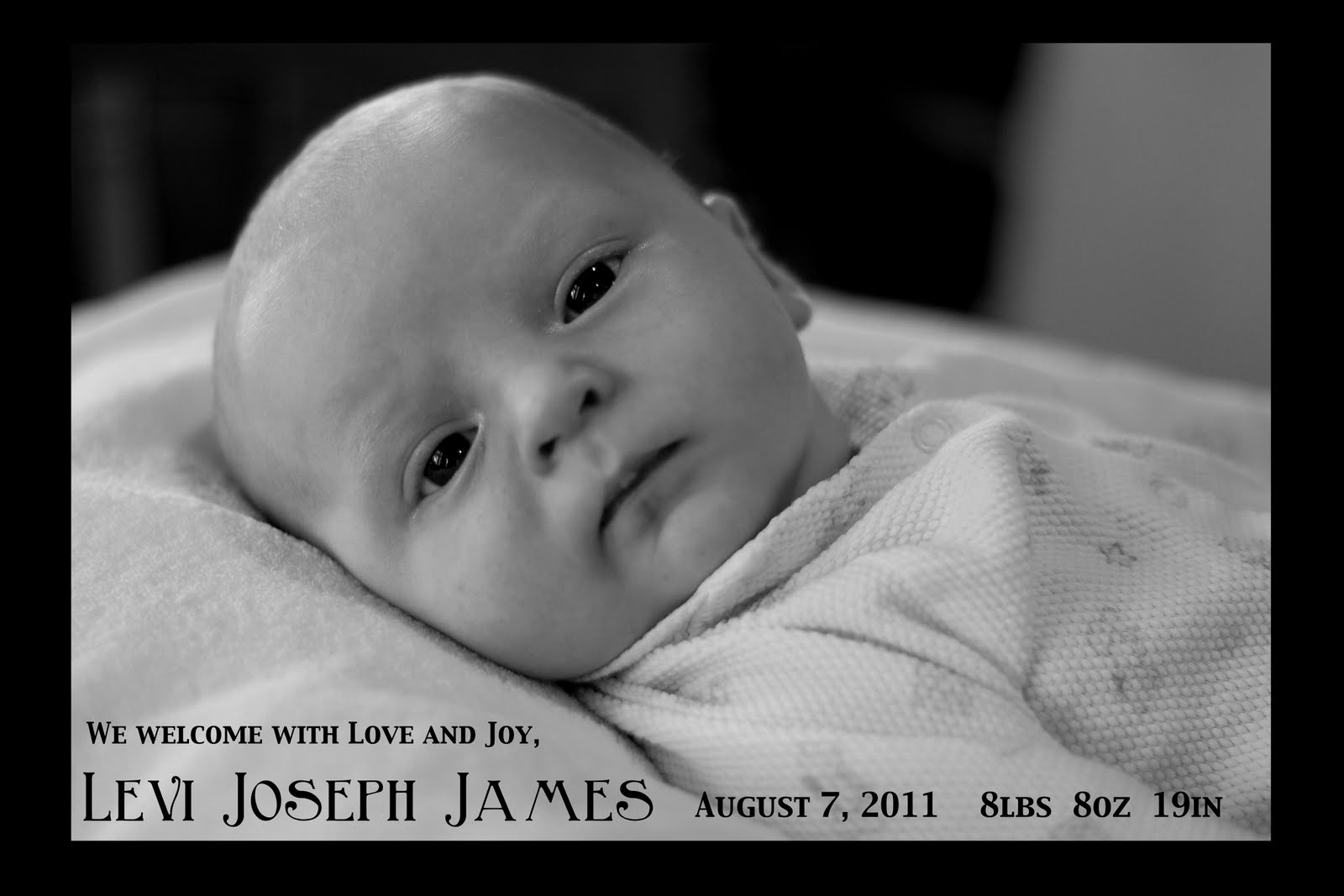 sea kettle diaries DIY Birth Announcements