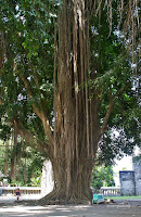 sendang tirta kamandanu