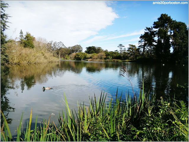 Golden Gate Park: Stow Lake & Strawberry Hill Island