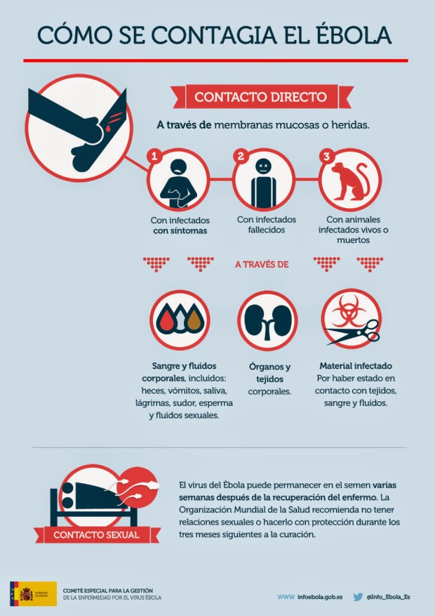 Cómo se contagia el Ébola Ministerio de sanidad