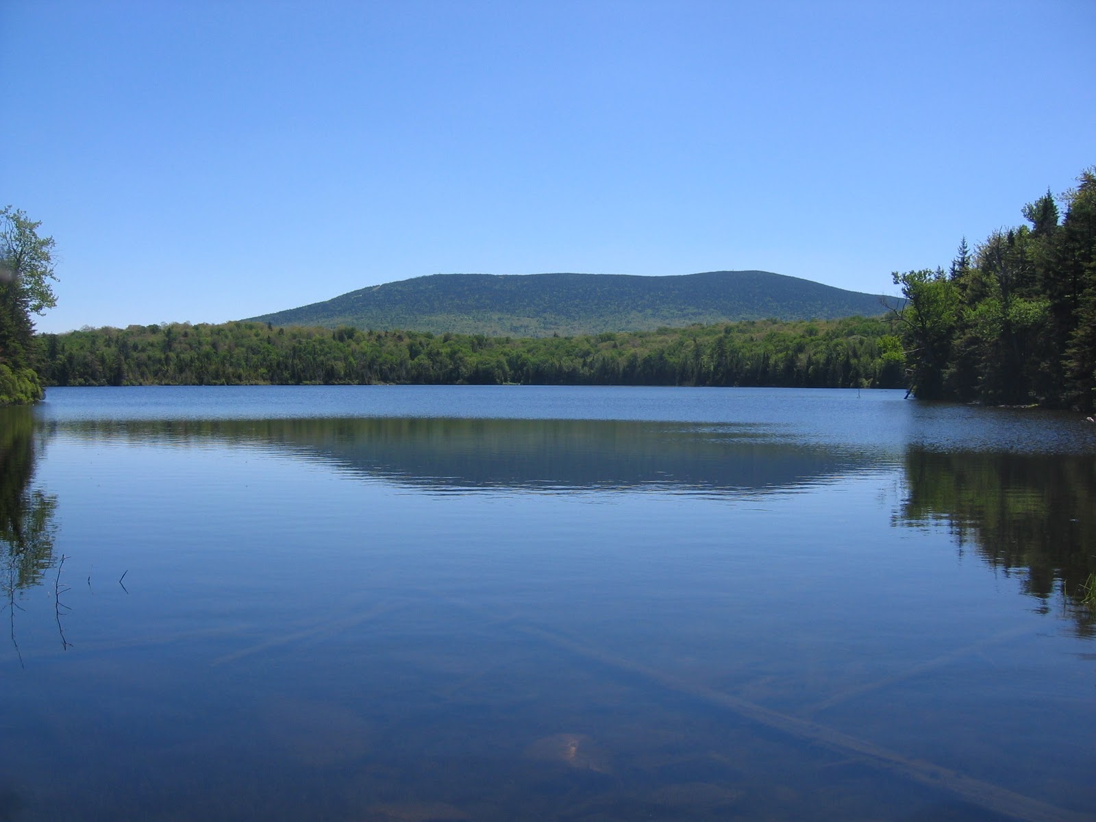 Tramping with Gray Jay 56 Vermont Lye Brook Trail to Stratton Pond 6/2/10