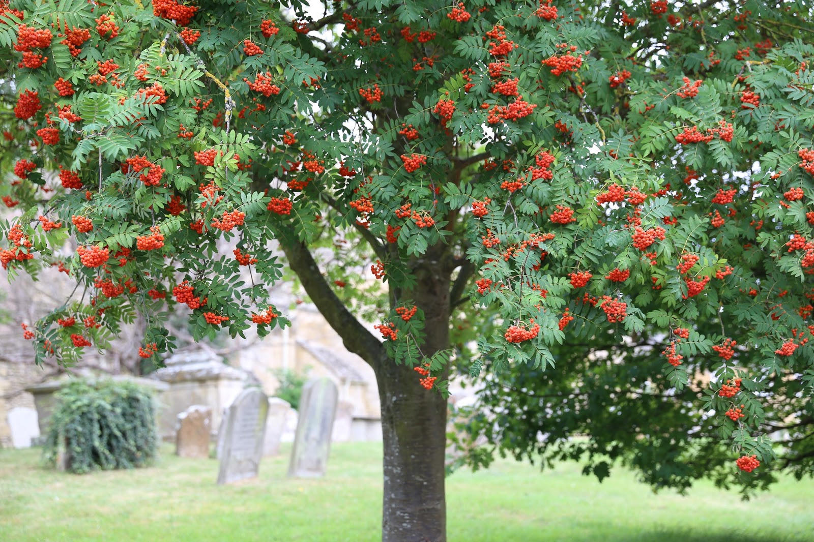 Sweet Southern Days: Visiting Downton Abbey Village - Bampton, England