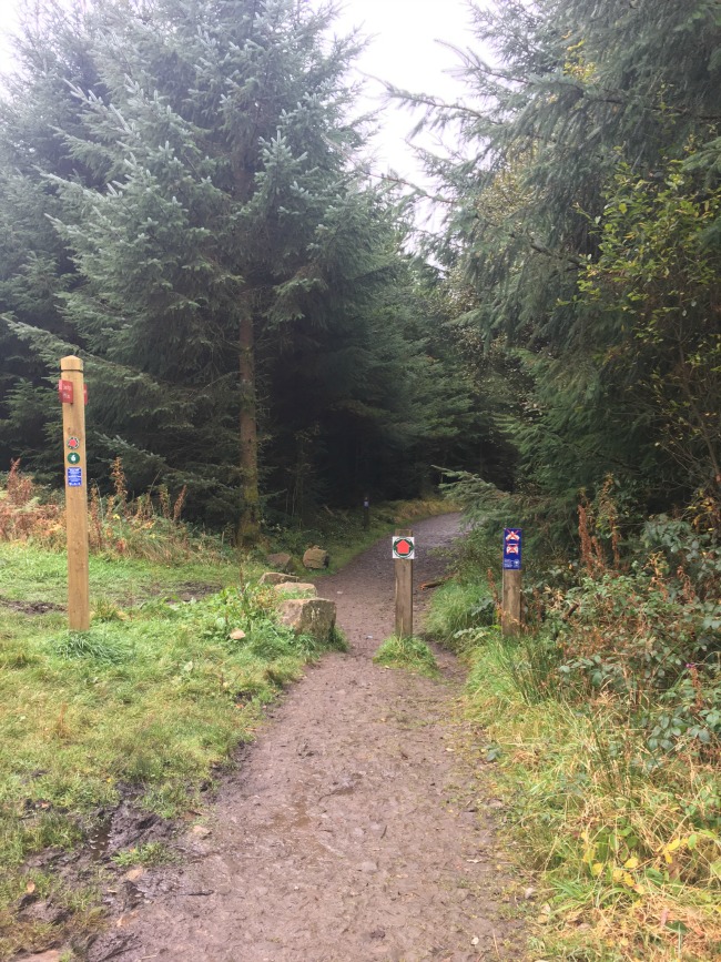 muddy-path-with-sign-posts-and-waymarkers