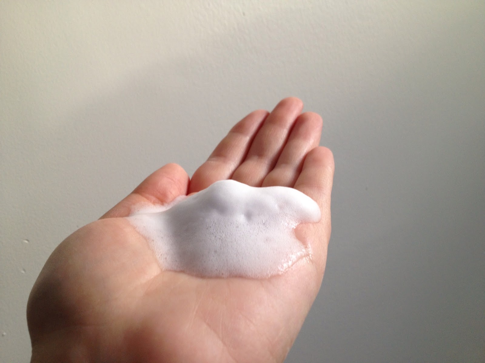 Little Oak Creations Review Lysol Touch Of Foam Antibact