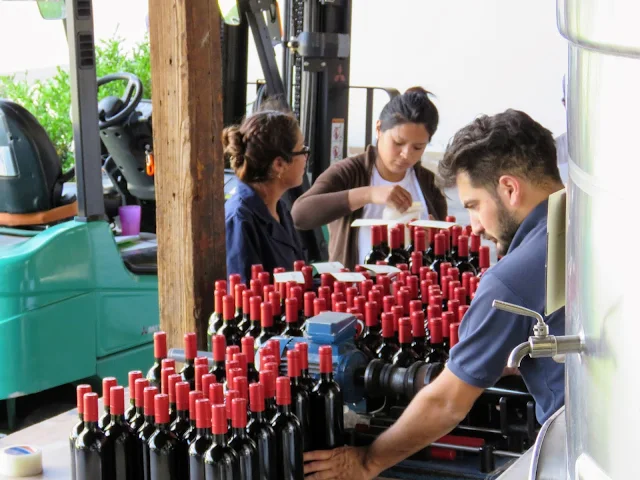 Workers labeling wine bottles at Mendel Winery near Mendoza Argentina