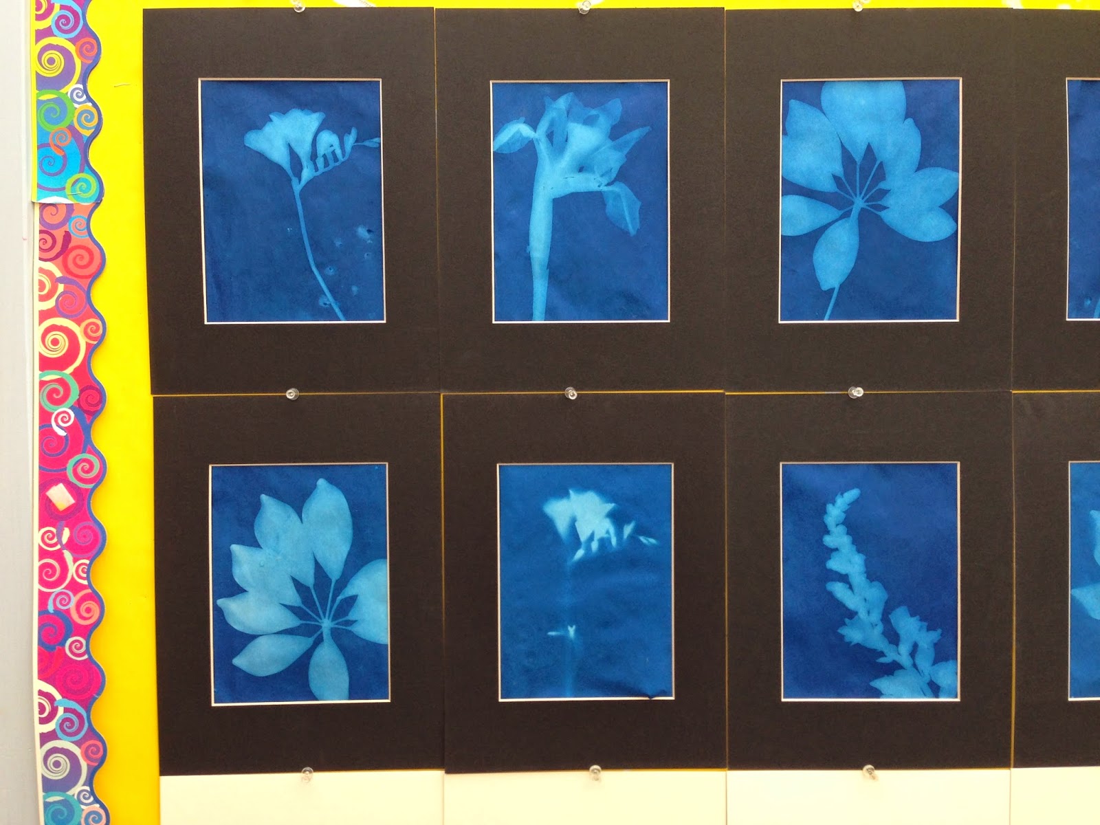 Art at Charter: K/1: Unit Study: Plant Sun Prints