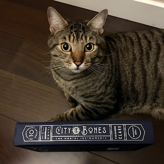 Pickles's 10th Anniversary CoB haul! Pickles with City of Bones.