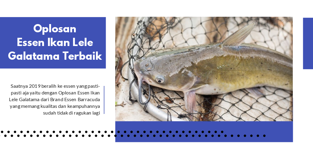 Cara Membuat Essen Untuk Ikan Lele