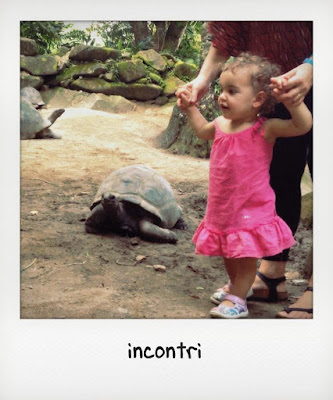 Bimba in viaggio alle Seychelles con tartaruga gigante Bambina di un anno e mezzo e tartaruga gigante delle Seychelles