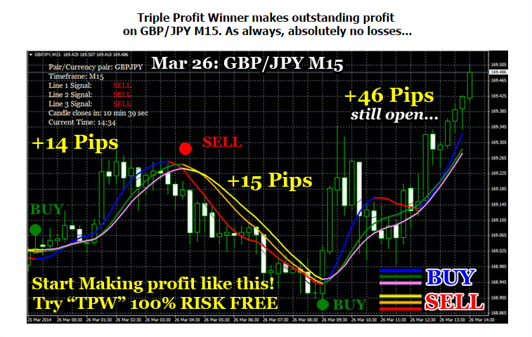 Forex winner ea