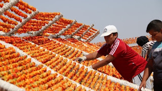 gaziantepte sıcak hava kurutmalık işiyle uğraşanları mutlu ediyor